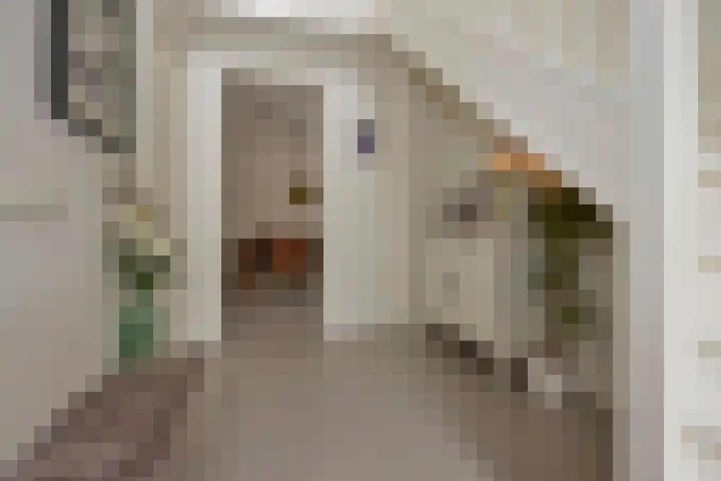 De Heul 13 Oostzaan thumbnail 15