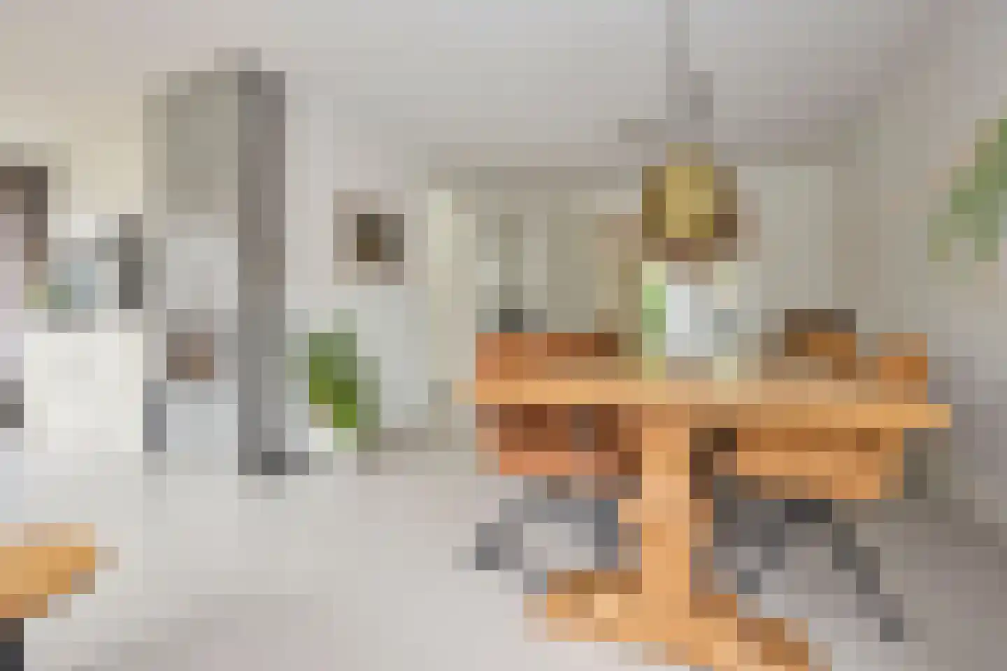 De Heul 13 Oostzaan thumbnail 20