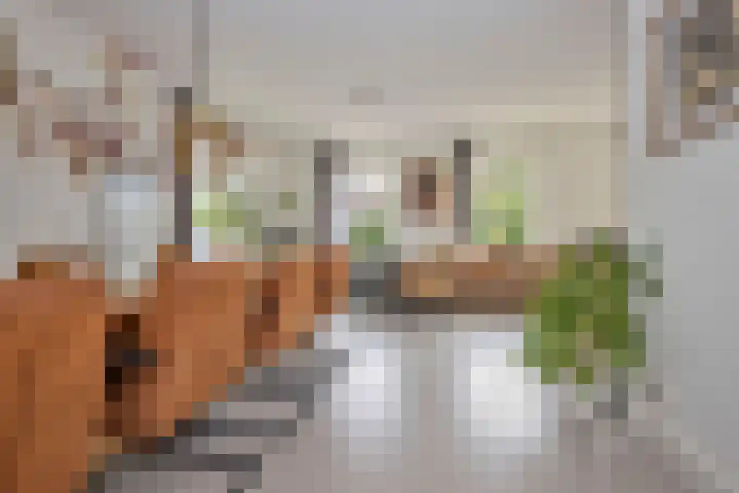 De Heul 13 Oostzaan thumbnail 21