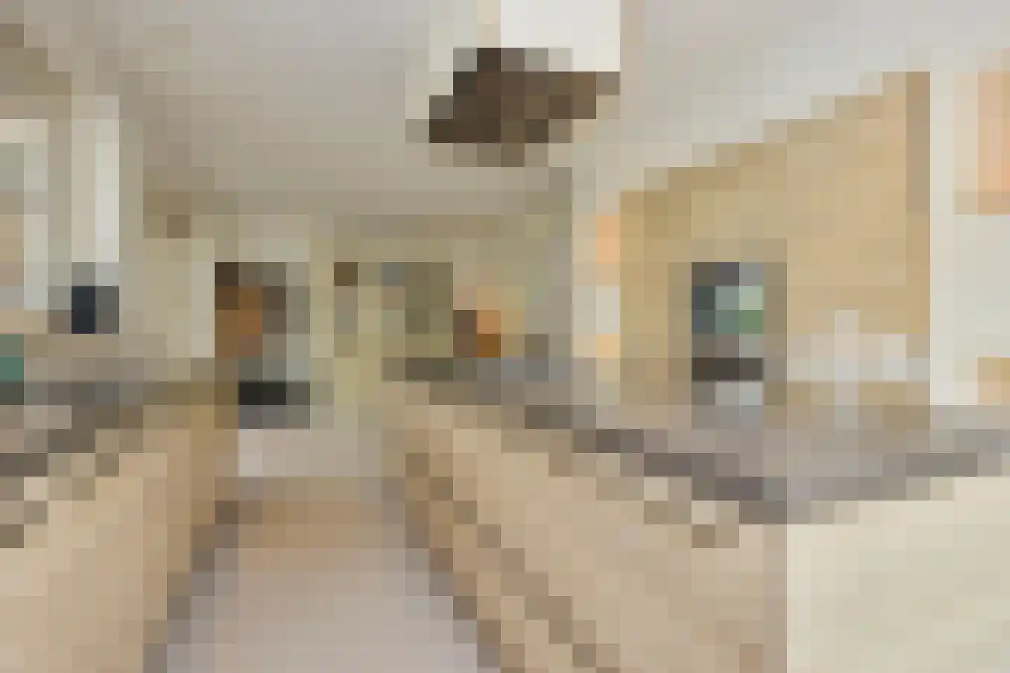 De Heul 13 Oostzaan thumbnail 28