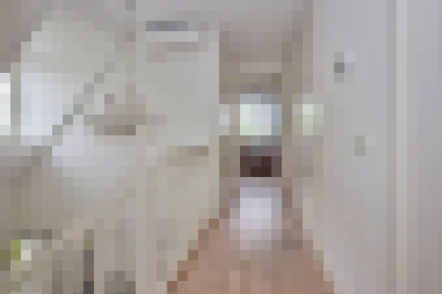 De Heul 13 Oostzaan thumbnail 31