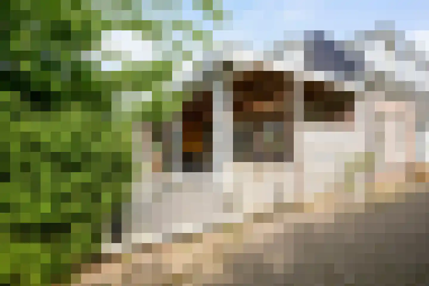 De Heul 13 Oostzaan thumbnail 52