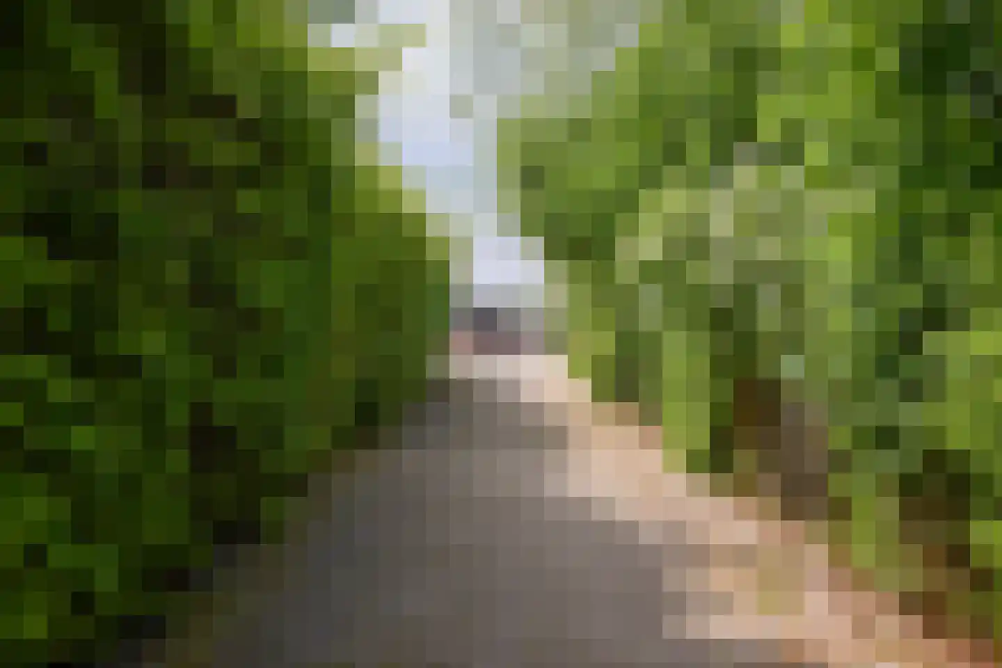 De Heul 13 Oostzaan thumbnail 55