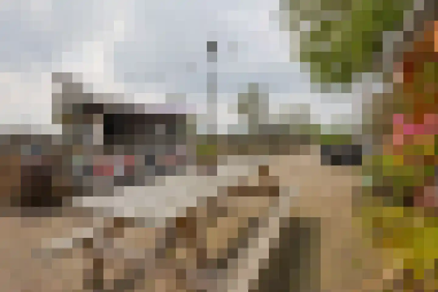 De Heul 13 Oostzaan thumbnail 68