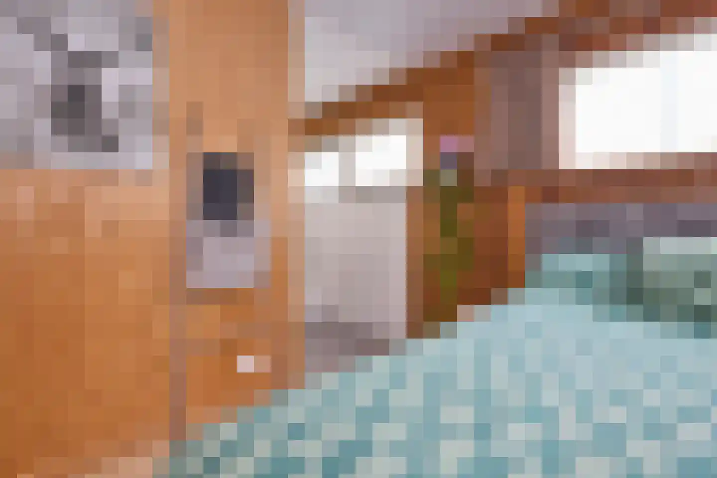 De Heul 13 Oostzaan thumbnail 81