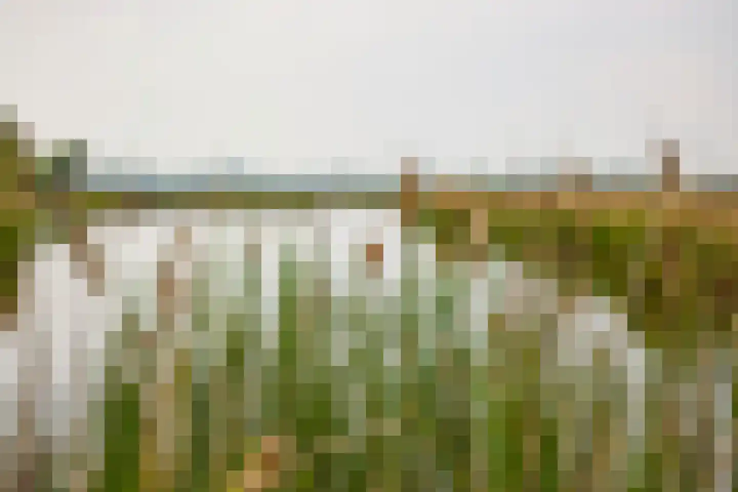 De Heul 13 Oostzaan thumbnail 98