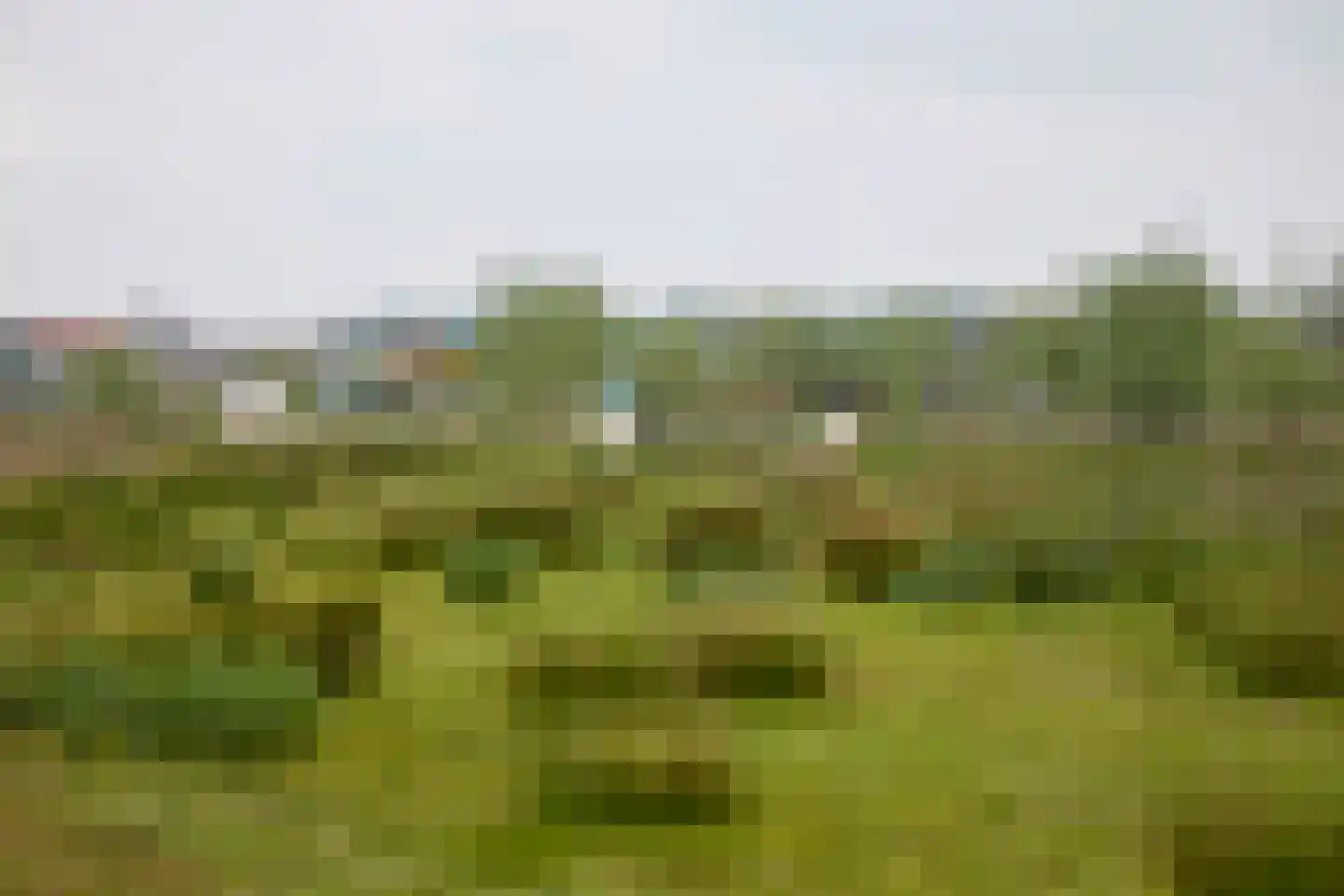 De Heul 13 Oostzaan thumbnail 99