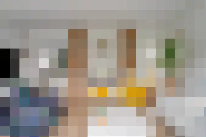 de Heul 27 Maasdam thumbnail 10
