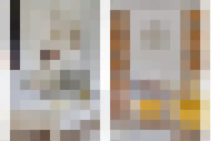 de Heul 27 Maasdam thumbnail 11
