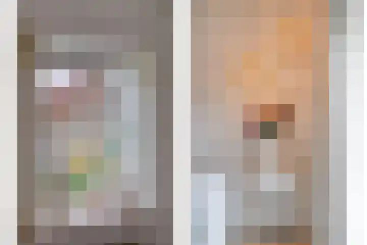 de Heul 27 Maasdam thumbnail 12