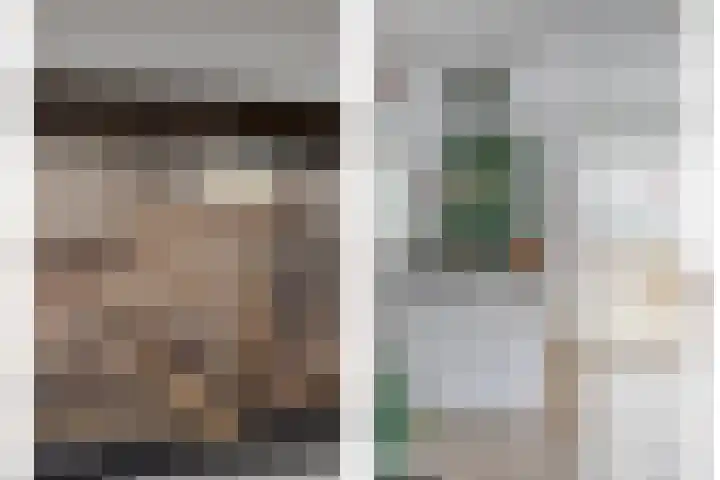 de Heul 27 Maasdam thumbnail 14