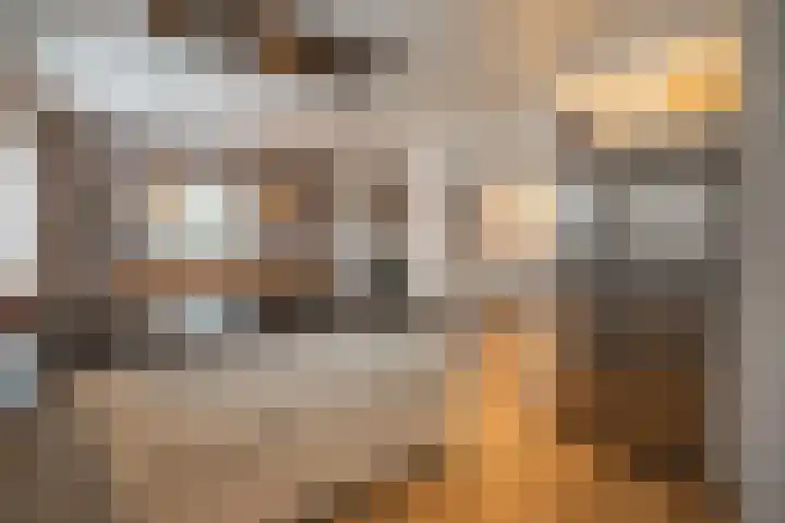 de Heul 27 Maasdam thumbnail 20