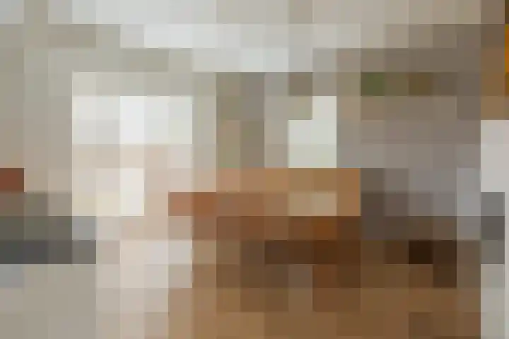 de Heul 27 Maasdam thumbnail 21