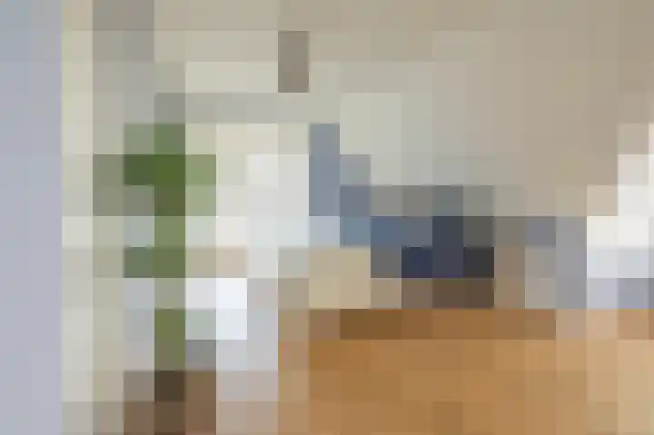 de Heul 27 Maasdam thumbnail 25