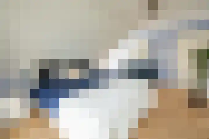 de Heul 27 Maasdam thumbnail 26