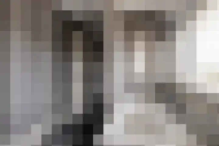 de Heul 27 Maasdam thumbnail 28