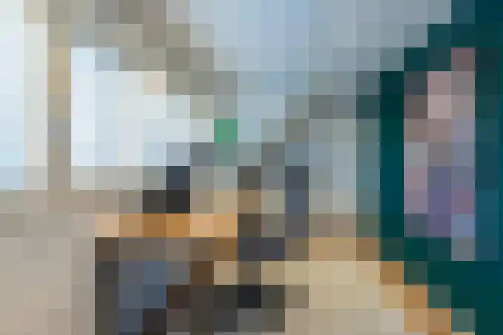 de Heul 27 Maasdam thumbnail 30