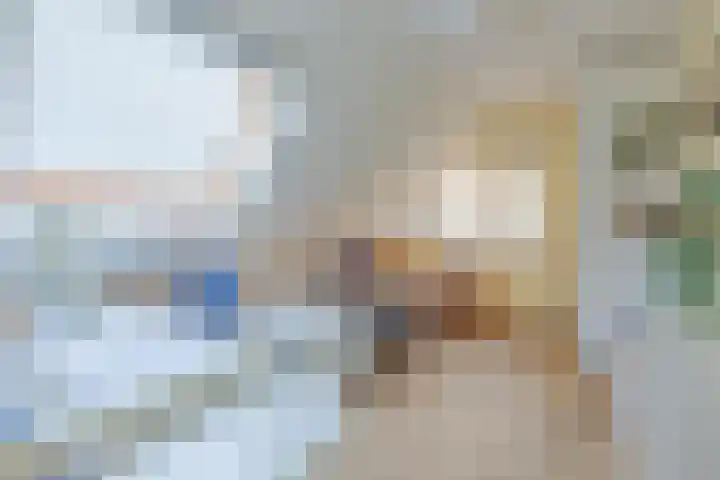 de Heul 27 Maasdam thumbnail 32