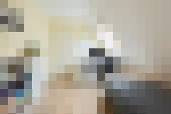 de Heul 27 Maasdam thumbnail 33