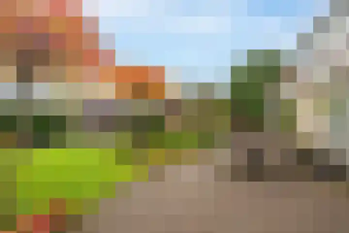 de Heul 27 Maasdam thumbnail 37