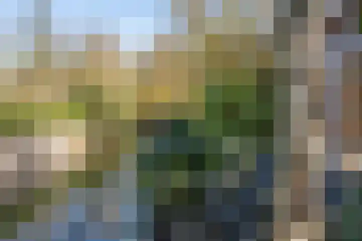 de Heul 27 Maasdam thumbnail 43