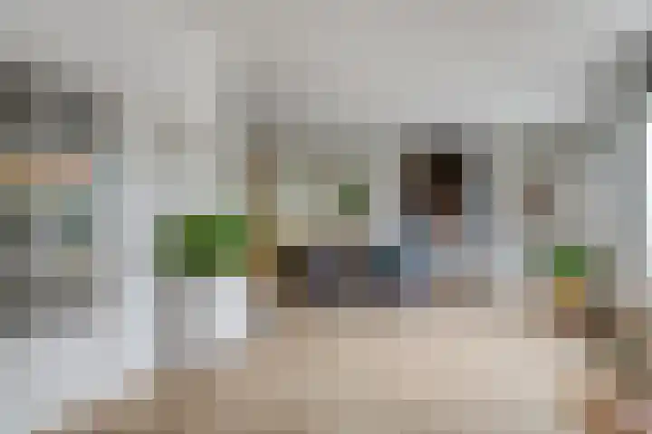 de Heul 27 Maasdam thumbnail 7