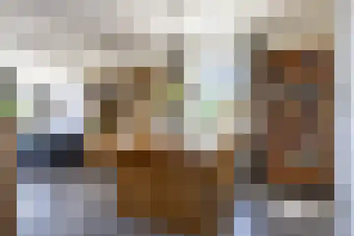De Heul 31 Oostzaan thumbnail 6