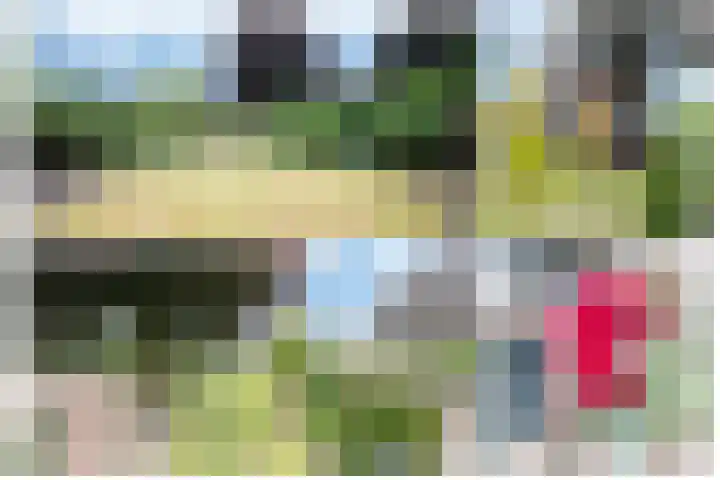 De Heul 4 b Hoeven thumbnail 22