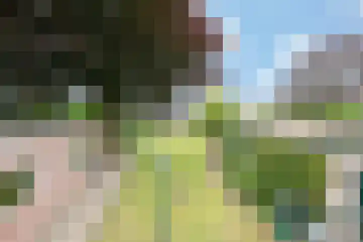 De Heul 4 b Hoeven thumbnail 24