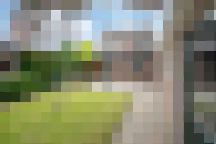De Heul 4 b Hoeven thumbnail 25