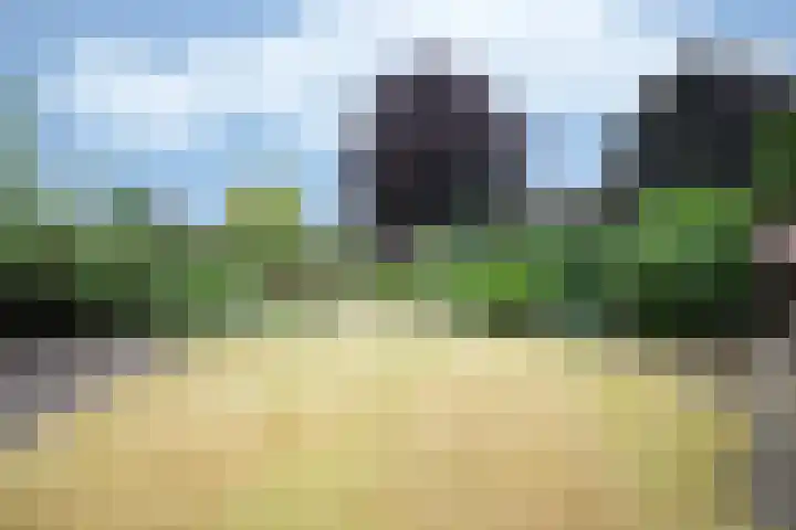 De Heul 4 b Hoeven thumbnail 29