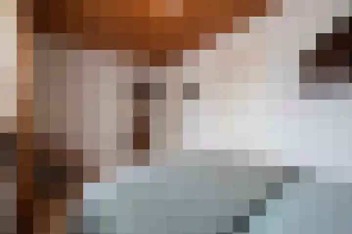 De Heul 4 b Hoeven thumbnail 35