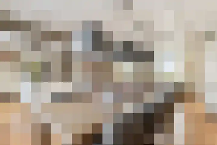 De Heul 44 a Hoeven thumbnail 12
