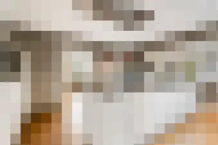 De Heul 44 a Hoeven thumbnail 14