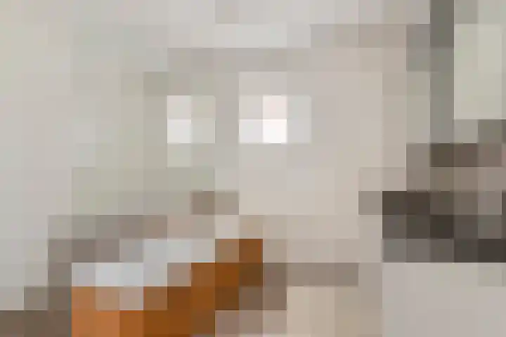 De Heul 44 a Hoeven thumbnail 16