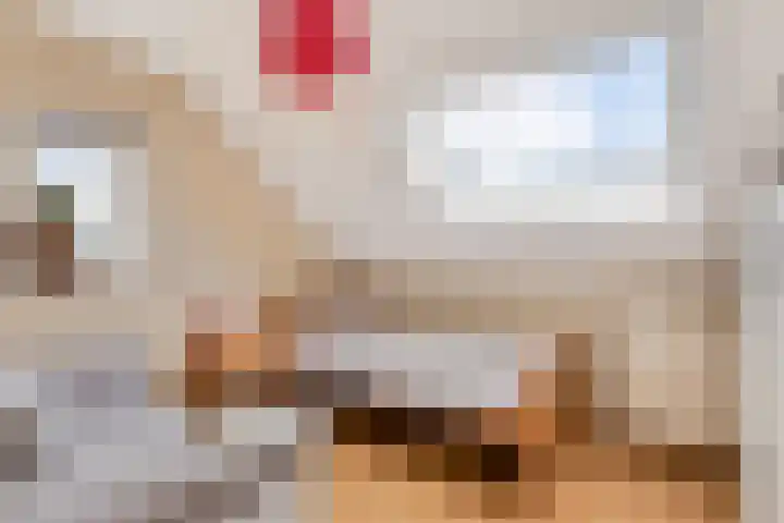 De Heul 44 a Hoeven thumbnail 23