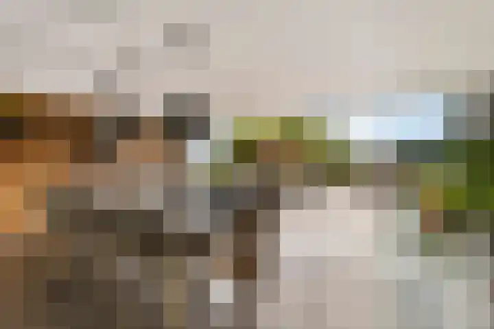 De Heul 44 a Hoeven thumbnail 29