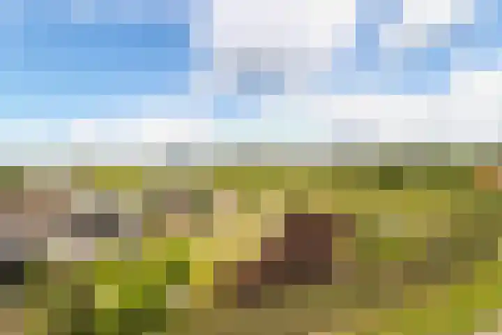 De Heul 44 a Hoeven thumbnail 32