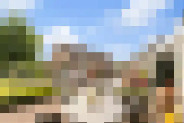 De Heul 44 a Hoeven thumbnail 37