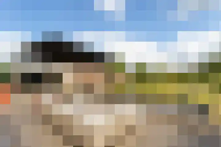 De Heul 44 a Hoeven thumbnail 40