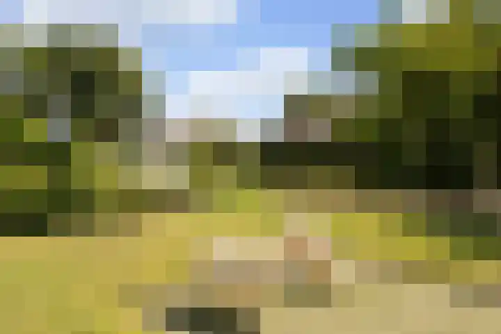 De Heul 44 a Hoeven thumbnail 42