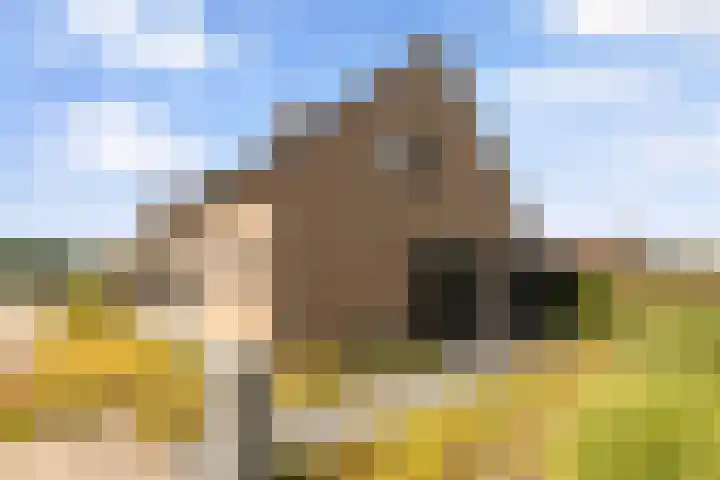 De Heul 44 a Hoeven thumbnail 44
