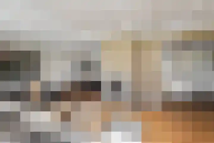 De Heul 44 a Hoeven thumbnail 7