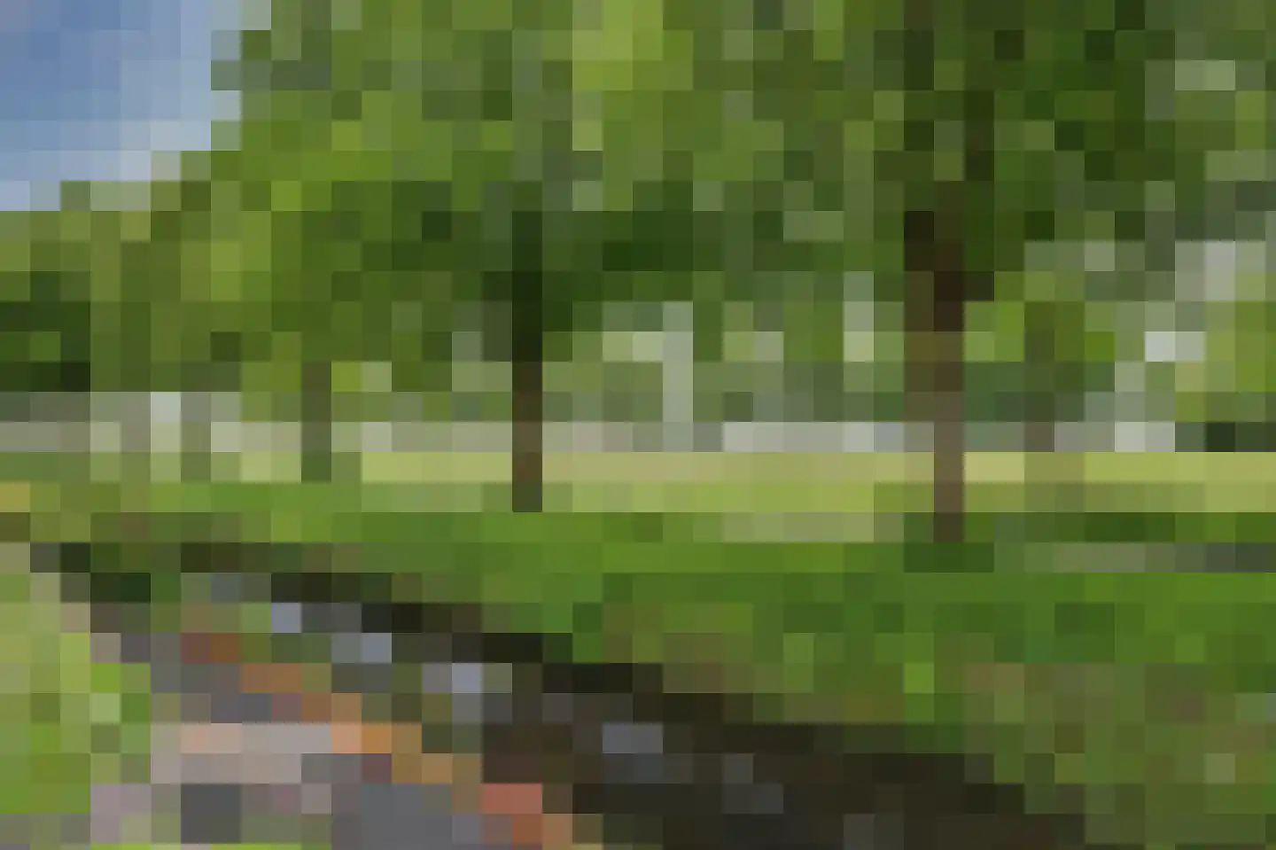de Heul 55 Maasdam thumbnail 10