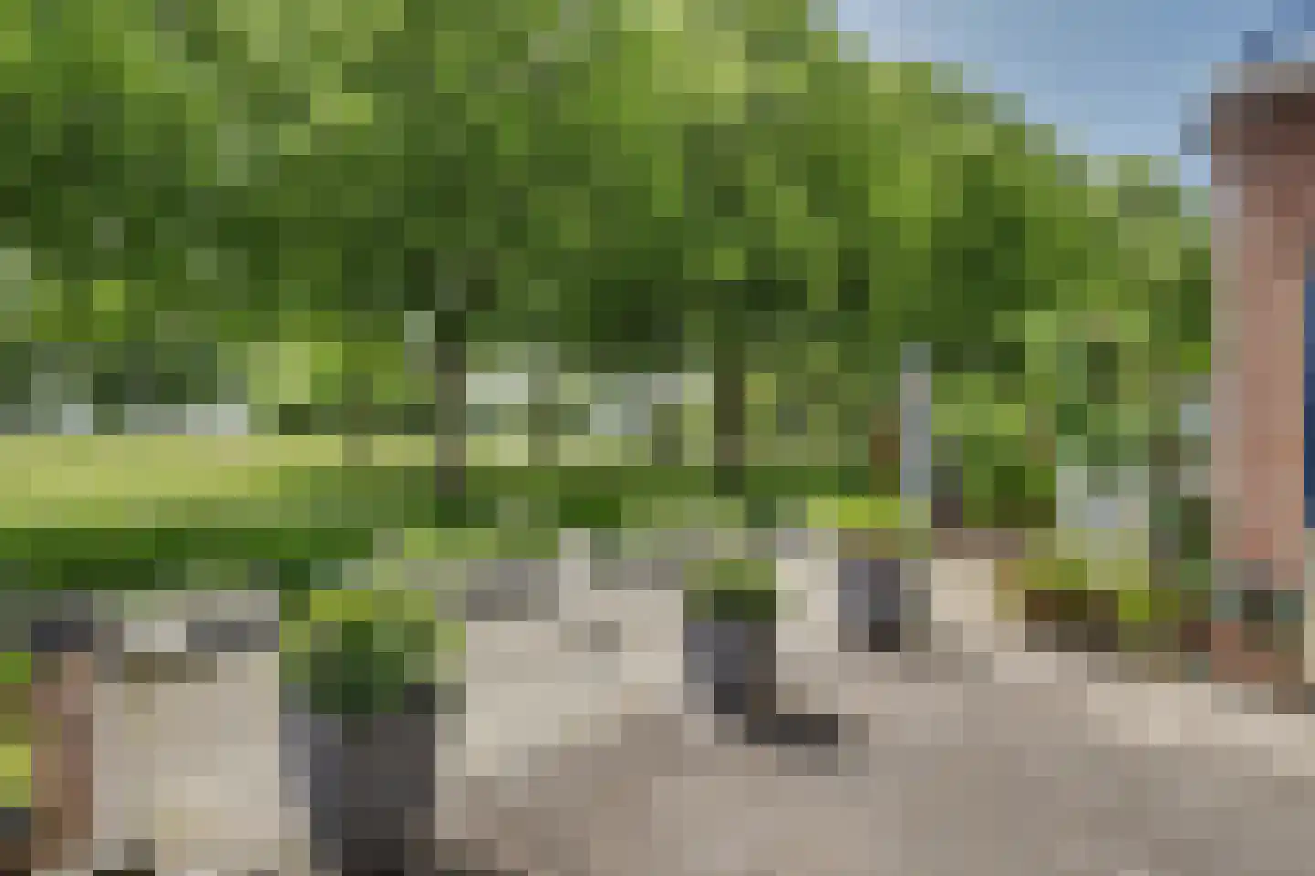 de Heul 55 Maasdam thumbnail 11