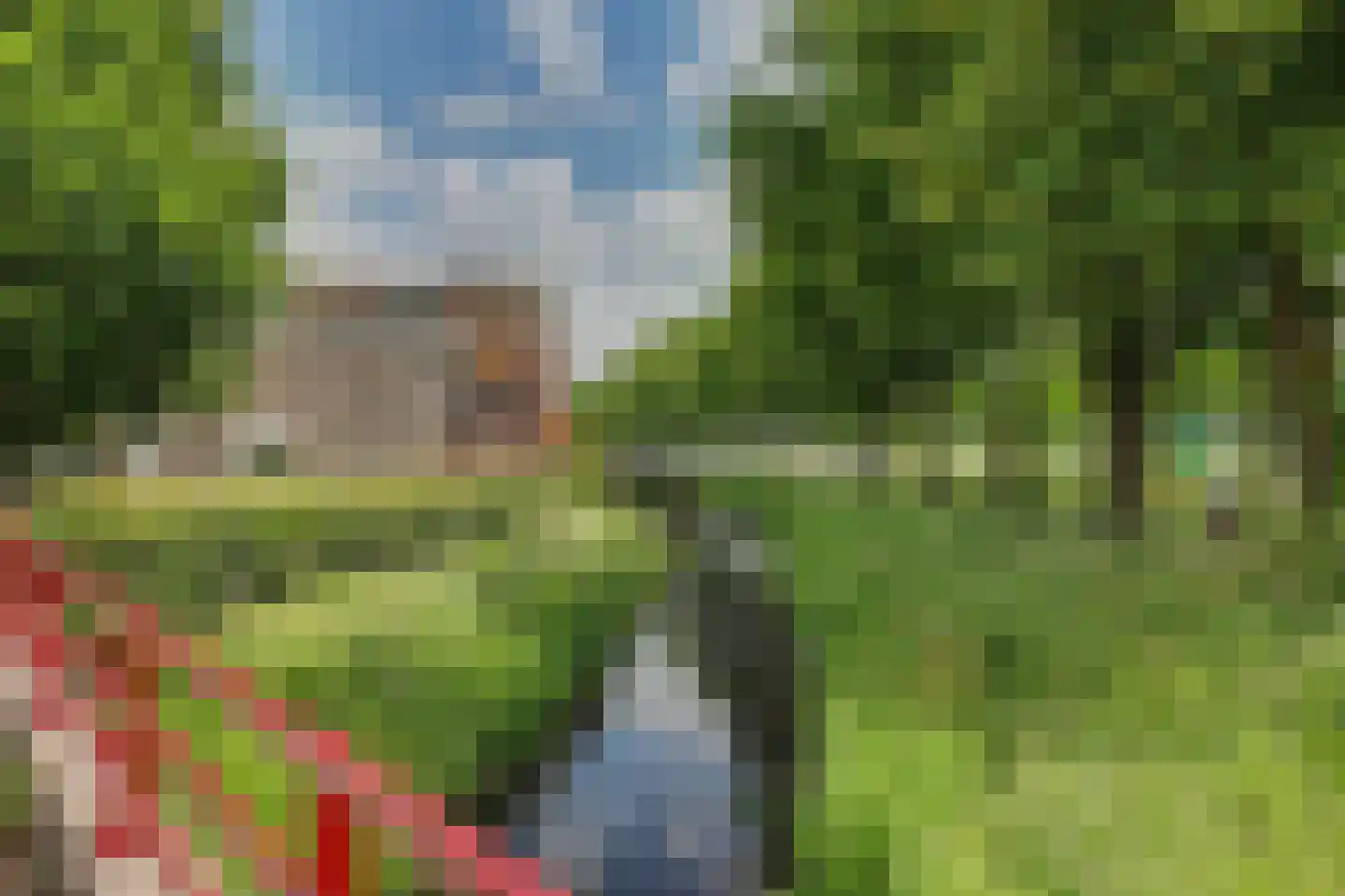 de Heul 55 Maasdam thumbnail 12