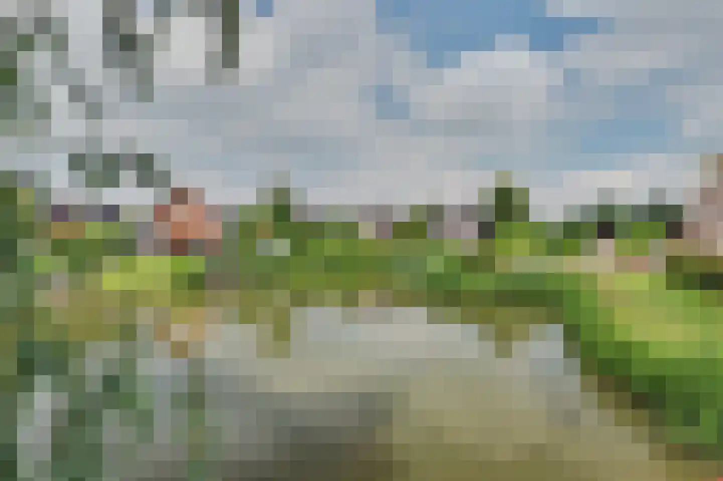 de Heul 55 Maasdam thumbnail 13