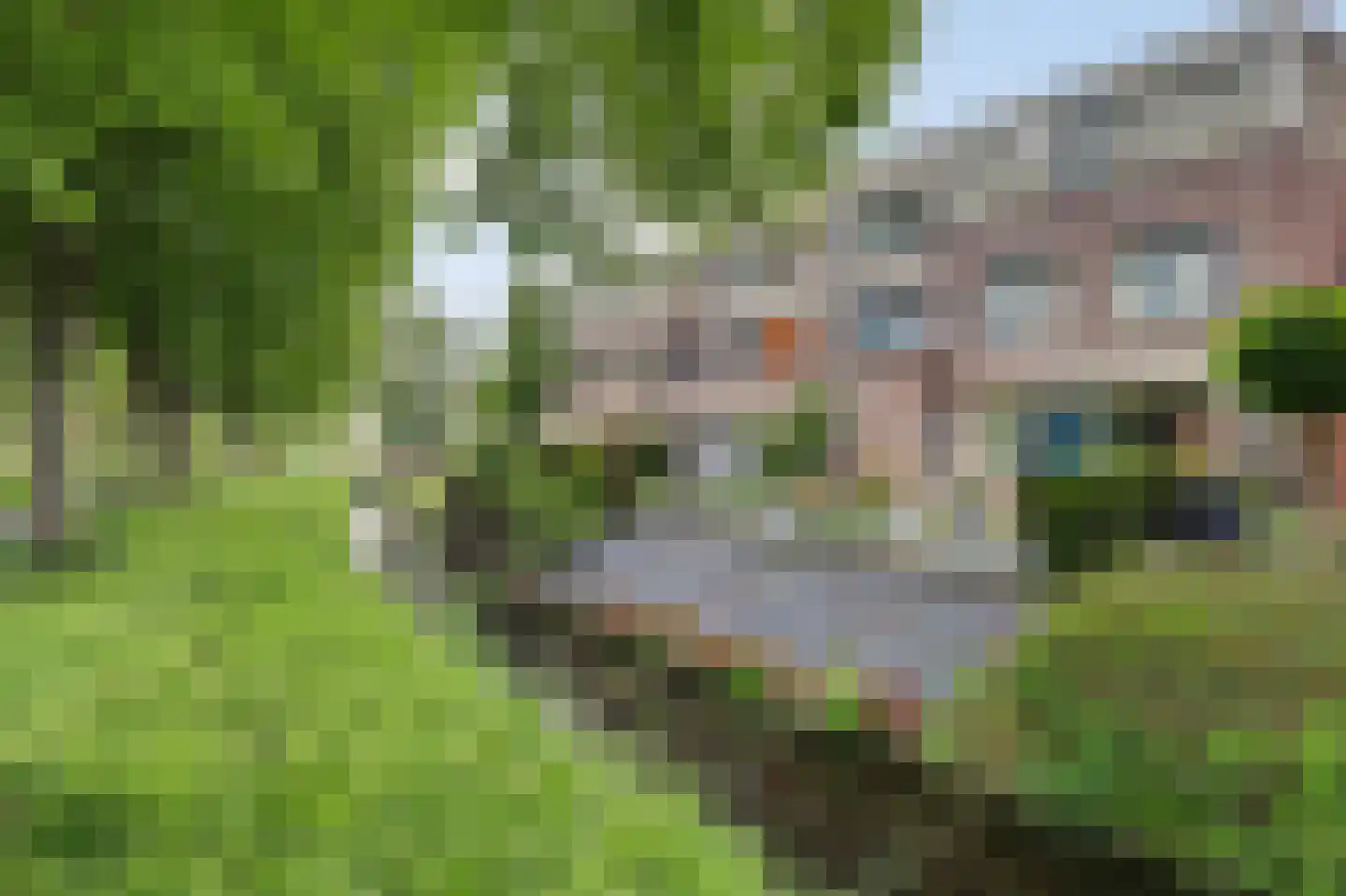de Heul 55 Maasdam thumbnail 6