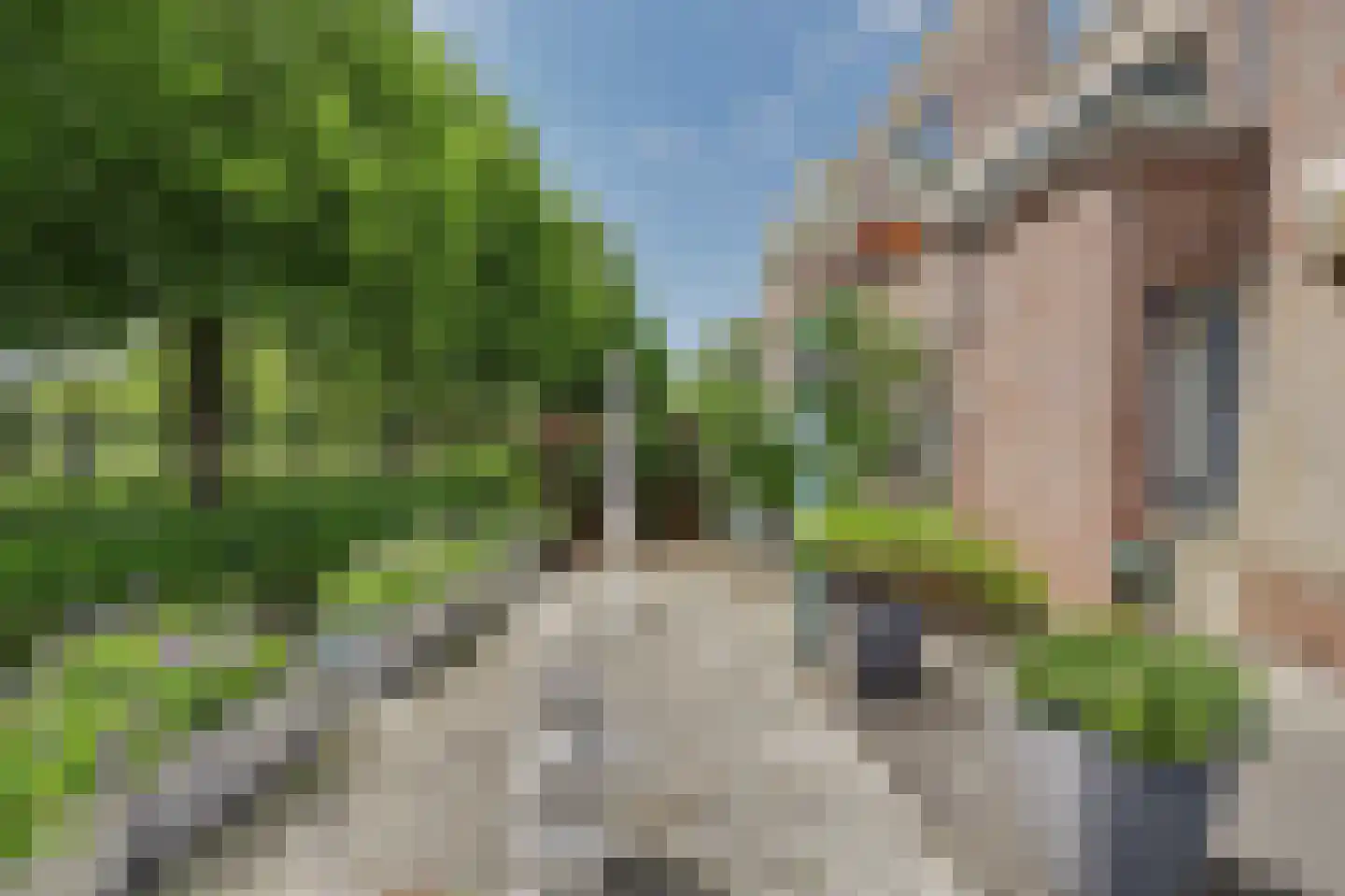 de Heul 55 Maasdam thumbnail 7