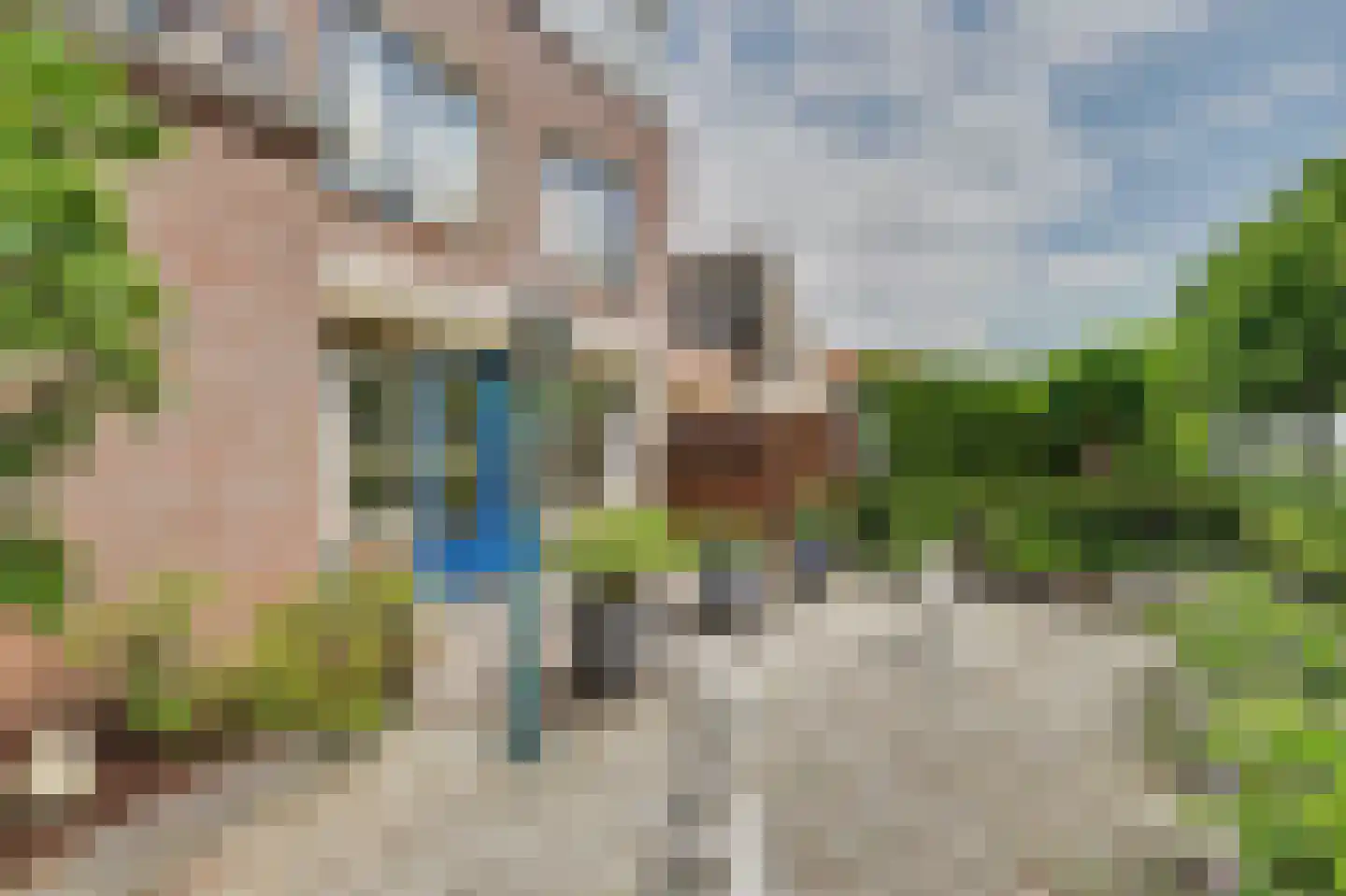 de Heul 55 Maasdam thumbnail 8